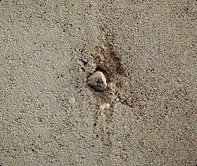 Отзывы клиентов