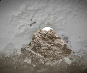 Отзывы клиентов